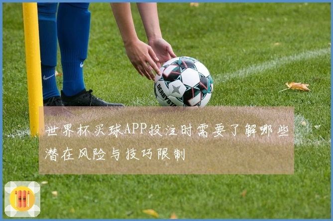 世界杯买球APP投注时需要了解哪些潜在风险与技巧限制
