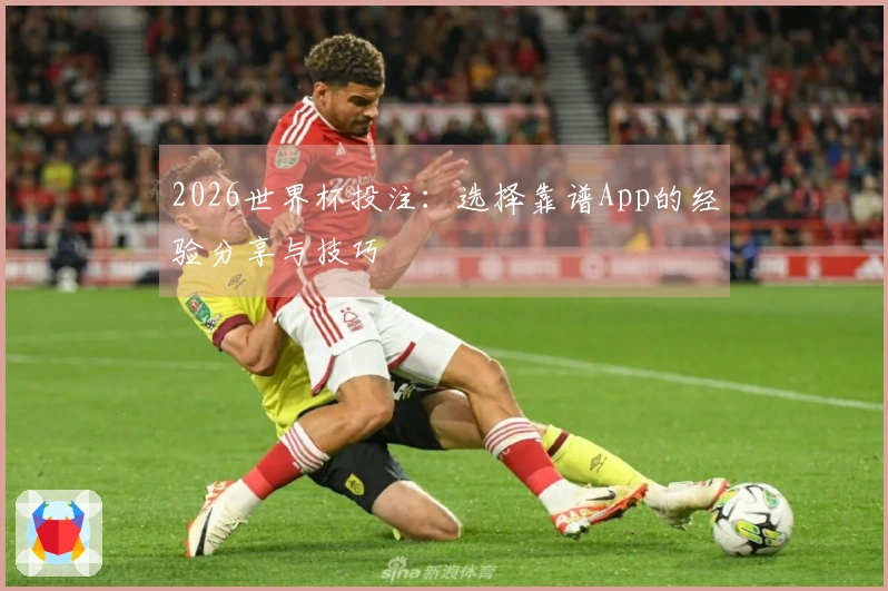 2026世界杯投注：选择靠谱App的经验分享与技巧