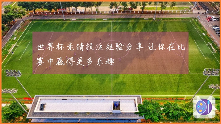 世界杯竞猜投注经验分享 让你在比赛中赢得更多乐趣