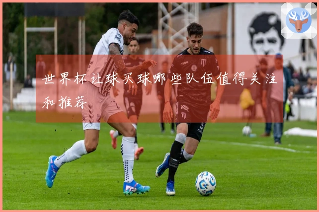 世界杯让球买球哪些队伍值得关注和推荐