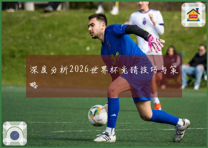 深度分析2026世界杯竞猜技巧与策略