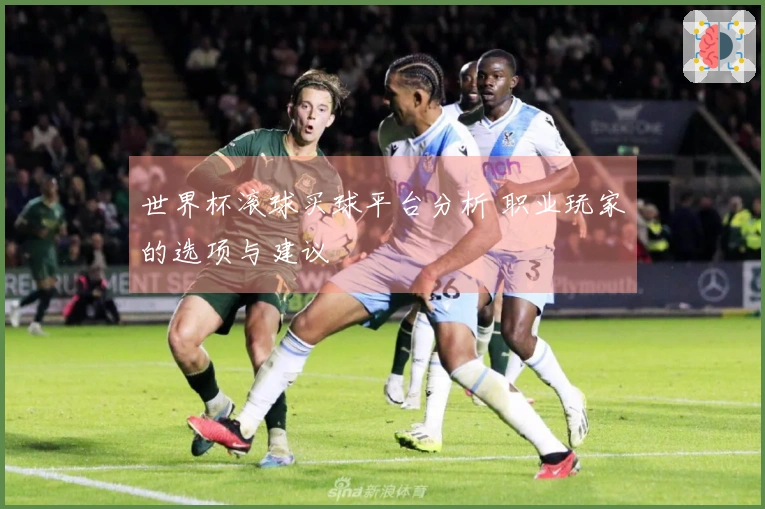 世界杯滚球买球平台分析 职业玩家的选项与建议