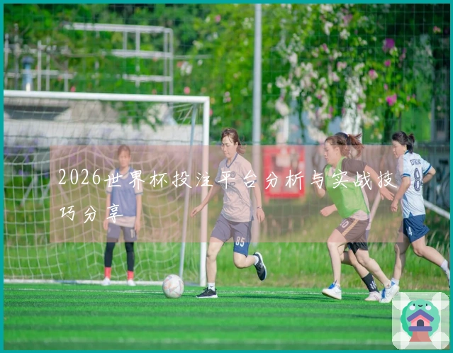 2026世界杯投注平台分析与实战技巧分享