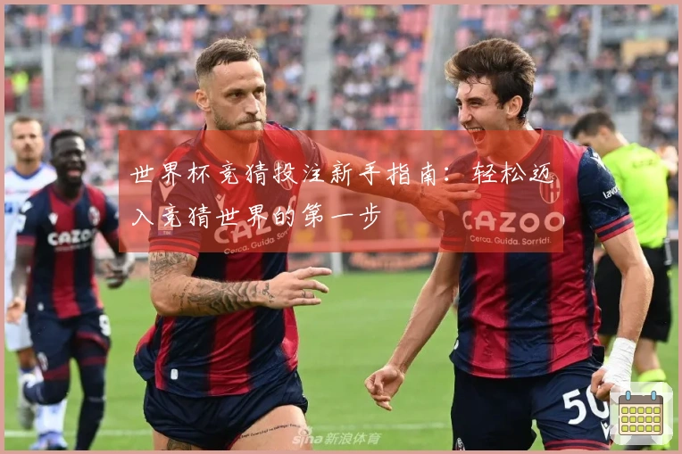 世界杯竞猜投注新手指南：轻松迈入竞猜世界的第一步
