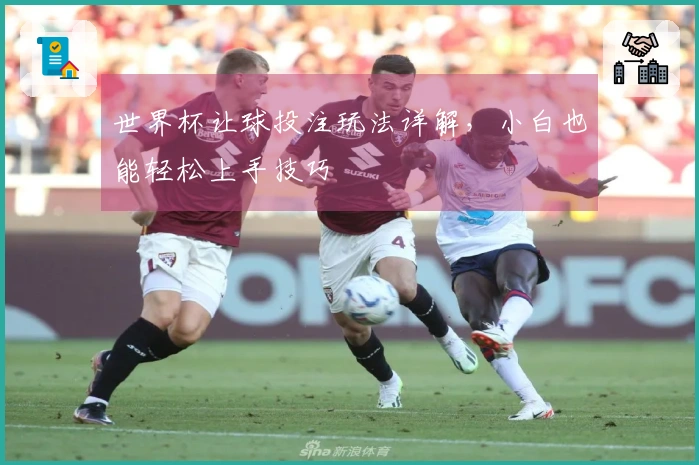 世界杯让球投注玩法详解，小白也能轻松上手技巧