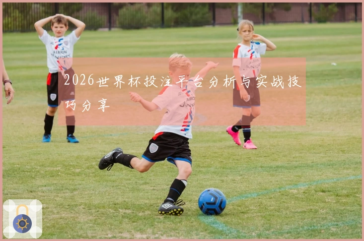 2026世界杯投注平台分析与实战技巧分享