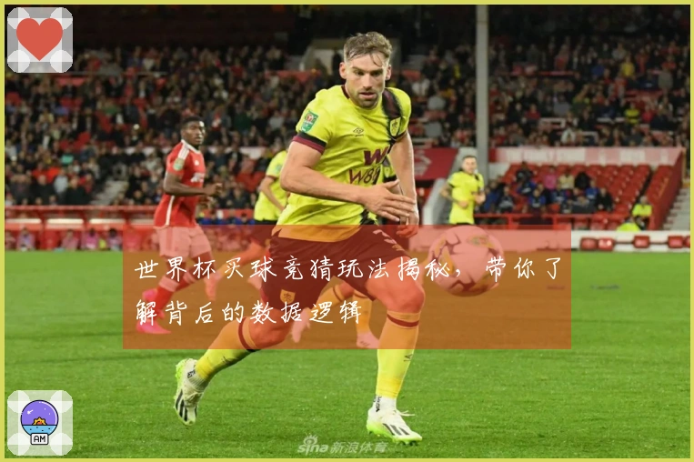 世界杯买球竞猜玩法揭秘，带你了解背后的数据逻辑