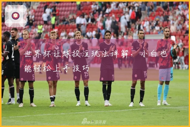 世界杯让球投注玩法详解，小白也能轻松上手技巧
