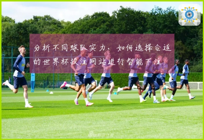 分析不同球队实力,如何选择合适的世界杯投注网站进行智能下注
