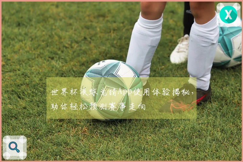 世界杯滚球竞猜App使用体验揭秘，助你轻松预测赛事走向