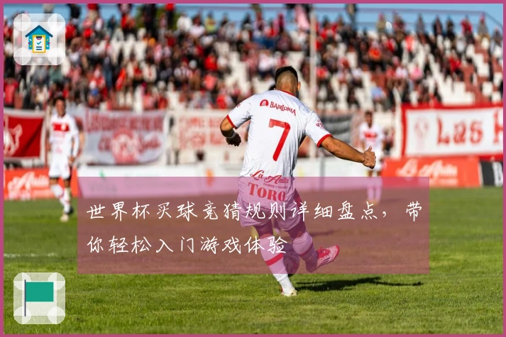 世界杯买球竞猜规则详细盘点，带你轻松入门游戏体验