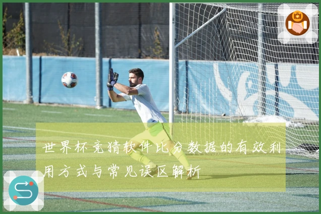 世界杯竞猜软件比分数据的有效利用方式与常见误区解析