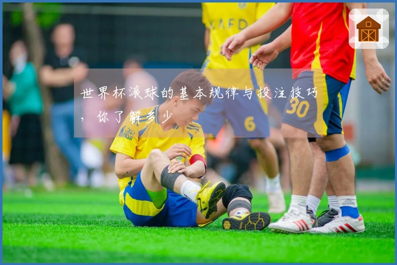 世界杯滚球的基本规律与投注技巧，你了解多少